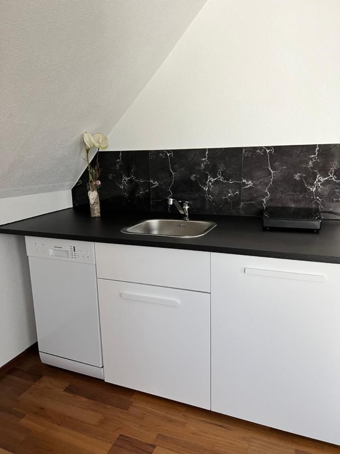 Lifestyle Apartment Sinsheim Exterior photo
